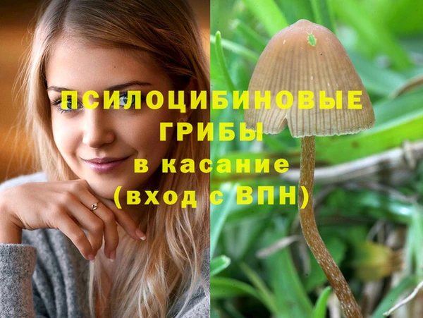 амф Белокуриха