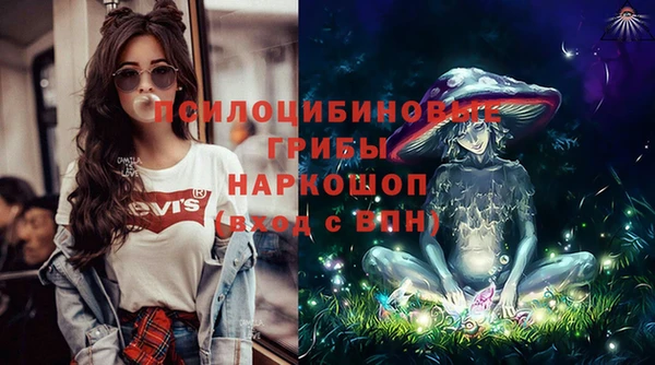 ПСИЛОЦИБИНОВЫЕ ГРИБЫ Белоозёрский