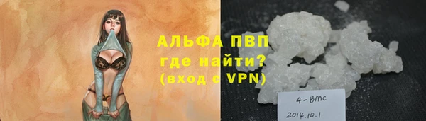 ПСИЛОЦИБИНОВЫЕ ГРИБЫ Белоозёрский